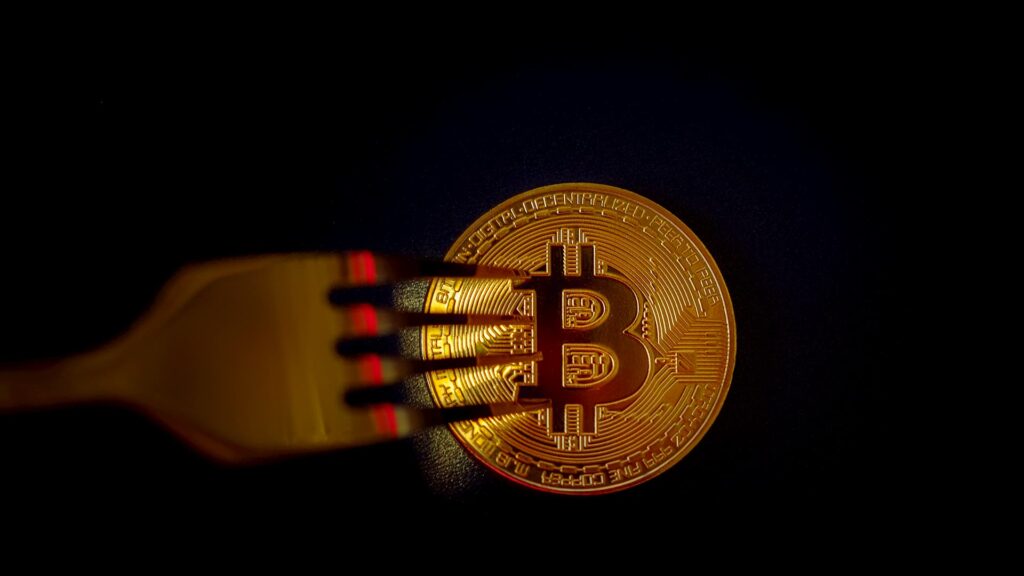 A Simple Guide to Blockchain Forks